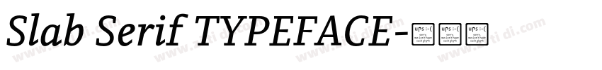 Slab Serif TYPEFACE字体转换 Slab Serif TYPEFACE字体转换